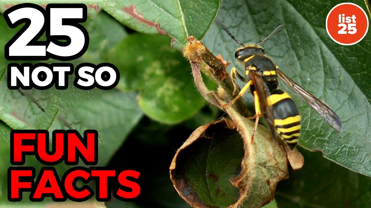 25 Unsettling Facts You Might Not Want to Know