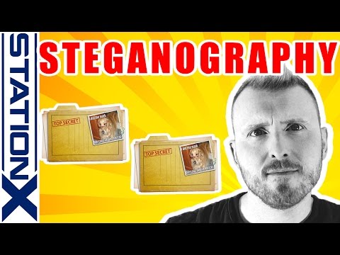 Steganography - Hiding Data from the FBI
