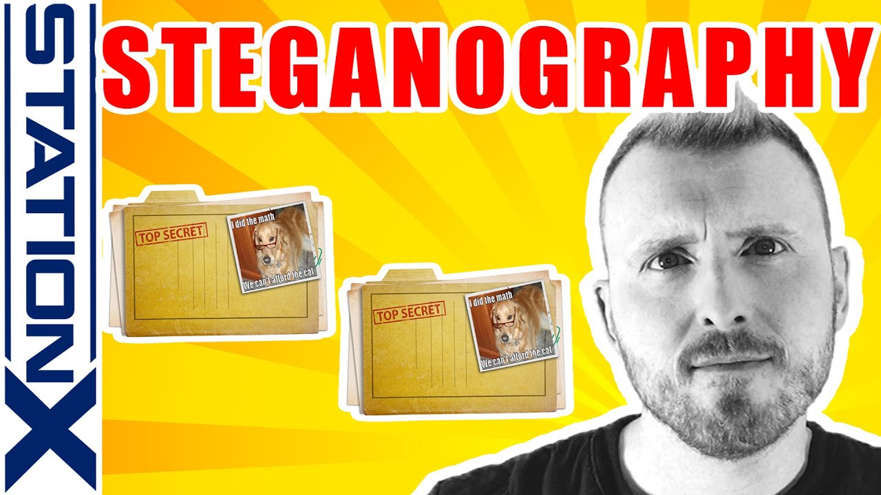 Steganography: The Secret Art of Hiding Data from the FBI 🕵️‍♂️