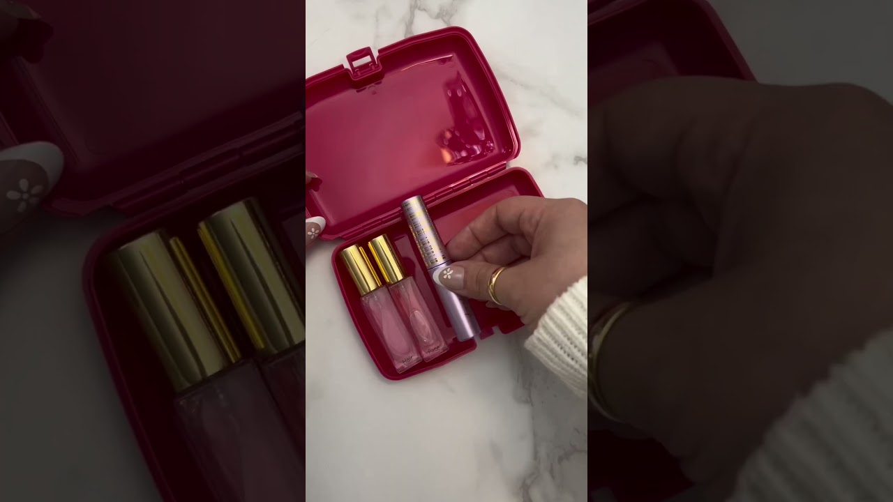 Dollar Tree Purse & Travel Bag Organization Tips