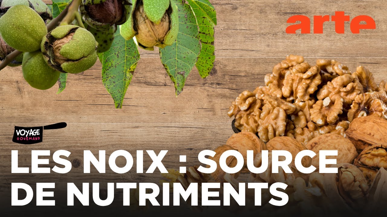 Découverte des noix dans le Dauphiné 🌰