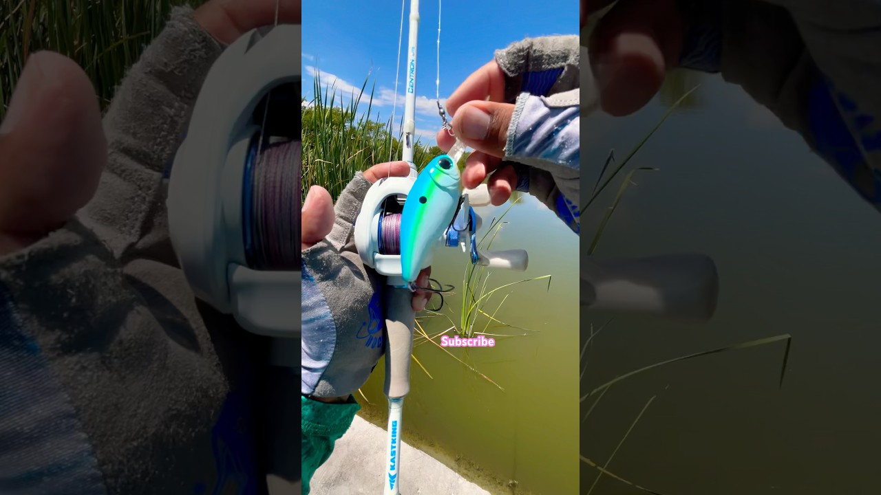 Baitcaster & Crankbait Tips for Bass 🎣