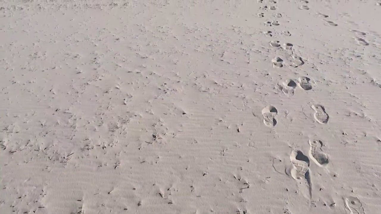 Digital Brief: Nov 14, 2022 (PM) with Jessica Kartalija