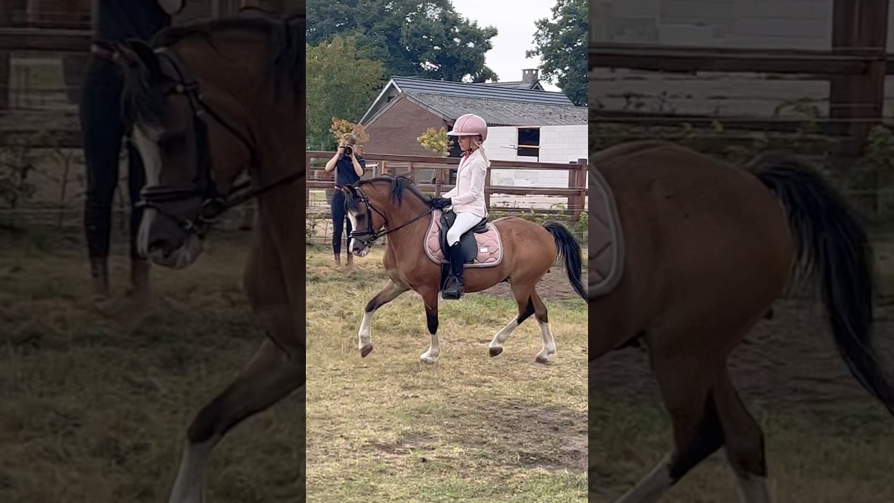 Adorable Pony for Sale! 🐴