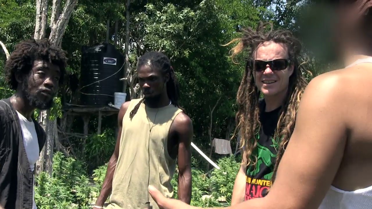 Discover Jamaica's Cannabis Capital with Strain Hunters 🌿