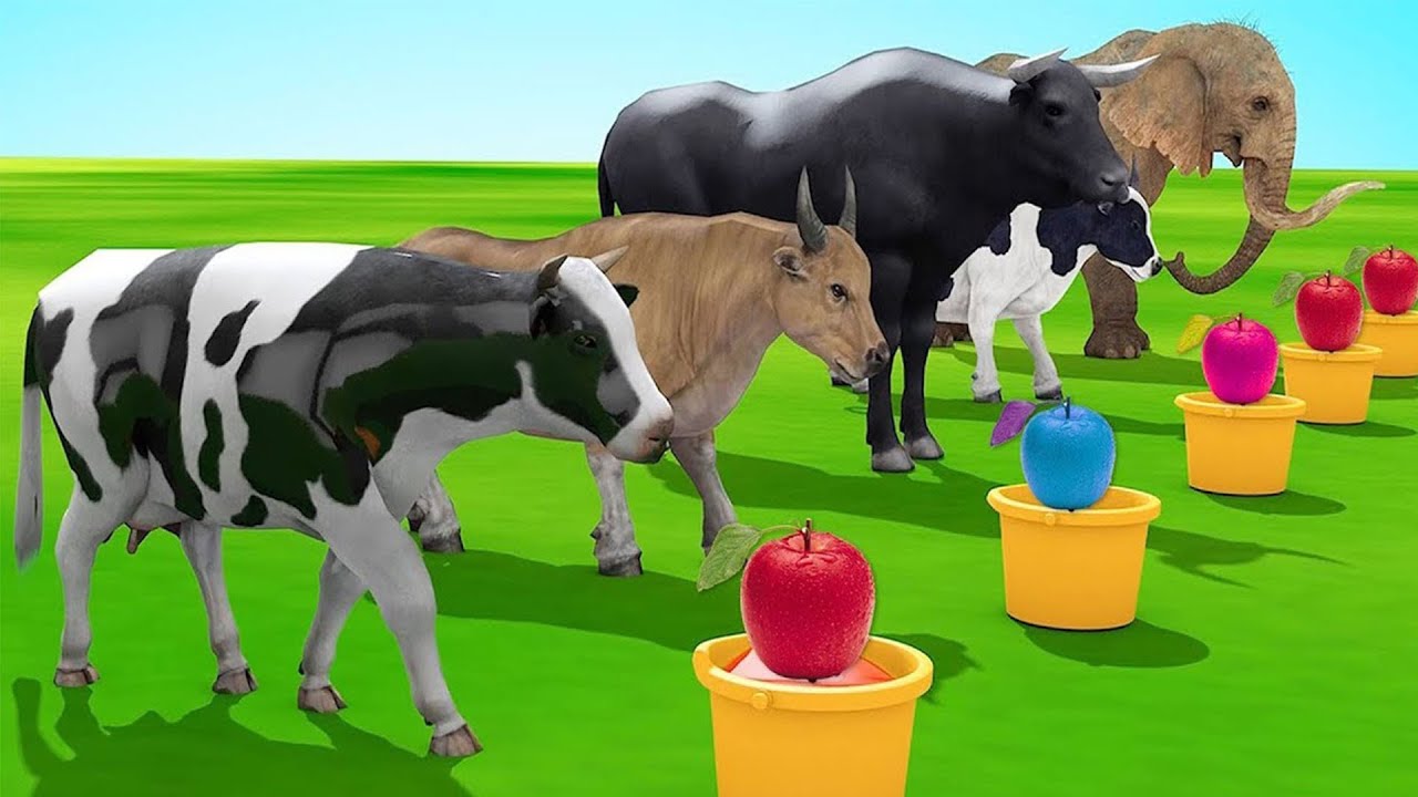 Nhạc Thiếu Nhi Gọi Trâu, Bò, Voi & Gà Gáy 🎶