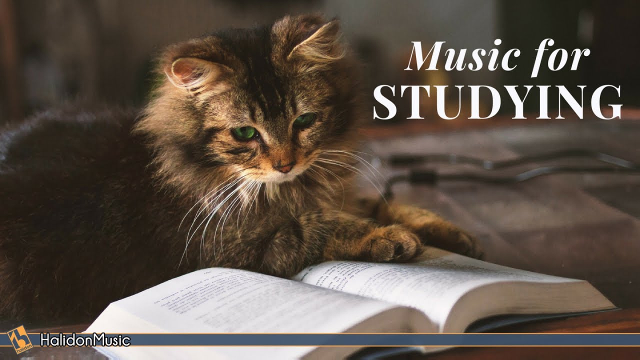 Boost Focus & Brain Power with Classical Music 🎶 | Mozart, Vivaldi, Tchaikovsky