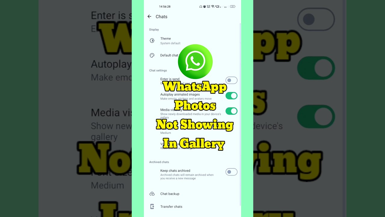 WhatsApp Photos Not Showing in Gallery: How to Fix