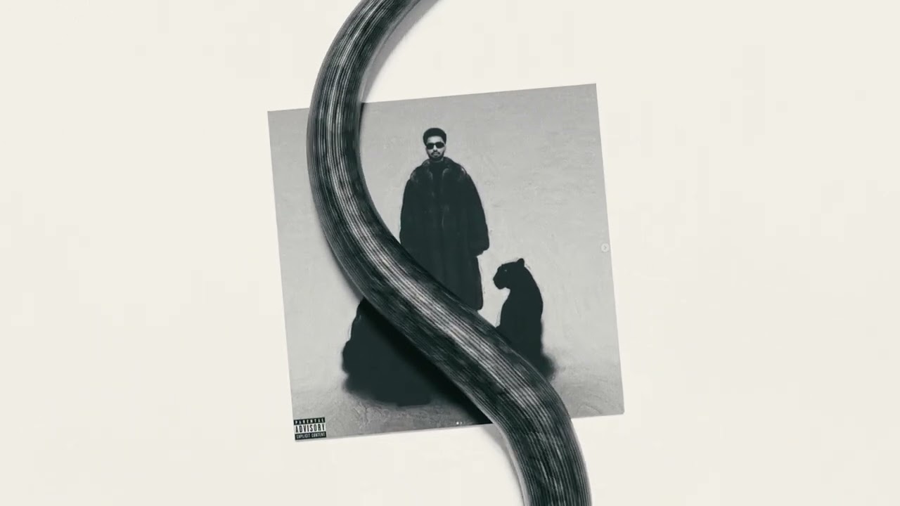 Deewane ๐ถ Navaan Sandhu Ft Bir | Official Visuals | New Punjabi Song 2025