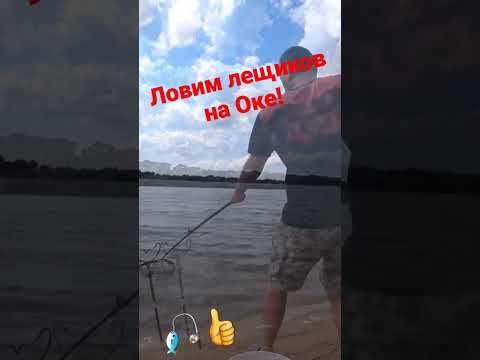 Лещ на фидер!#shorts #рыбалка #лещнафидер #лещ #feederfishing #рыба #лето #фидер #донки #патерностер