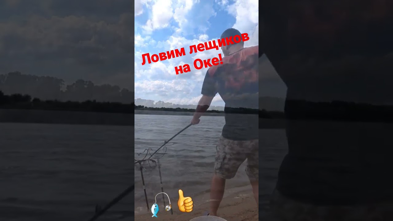 Лещ на фидер: Ловля крупной рыбы летом 🎣