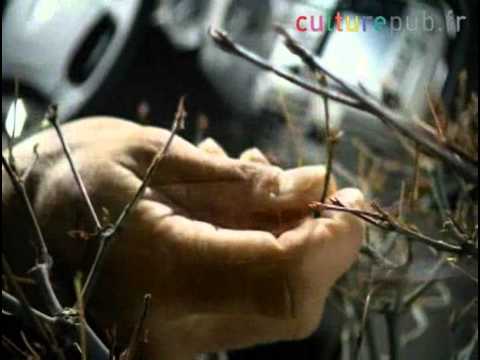 Lancia Lybra Commercial with Harrison Ford 🌳