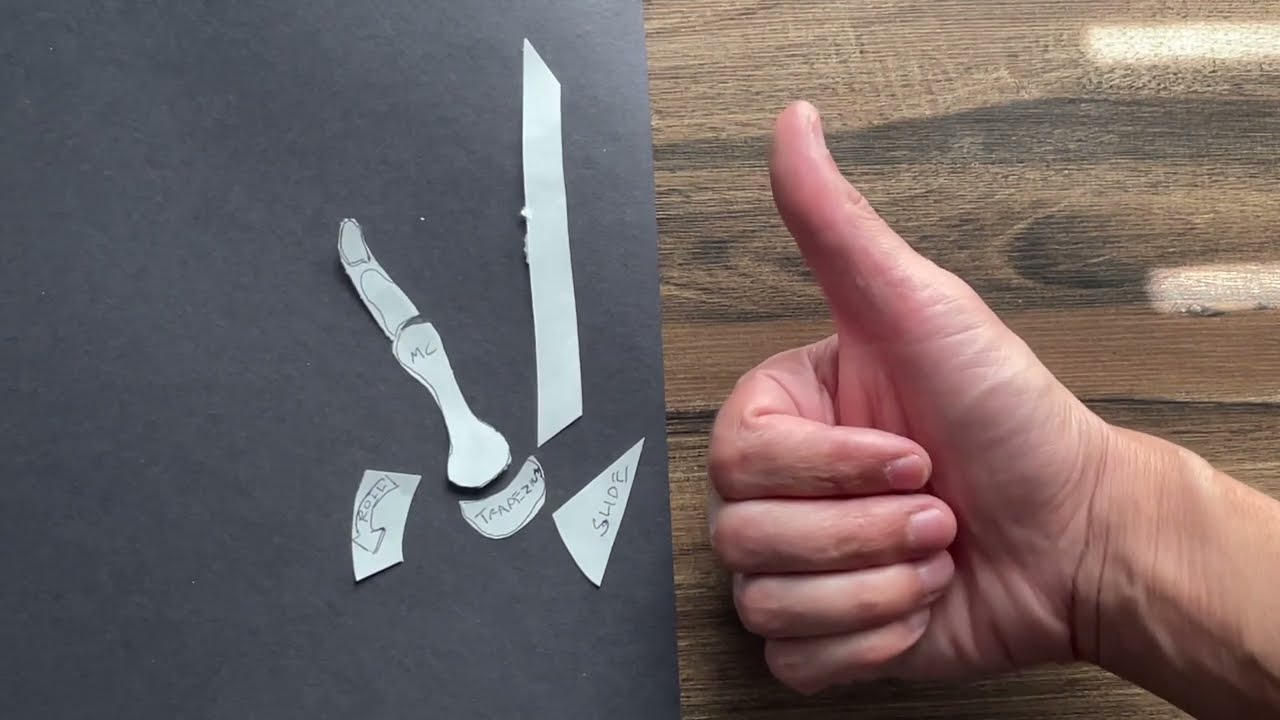 Thumb Arthrokinematics & CMC Joint Explained 🦾