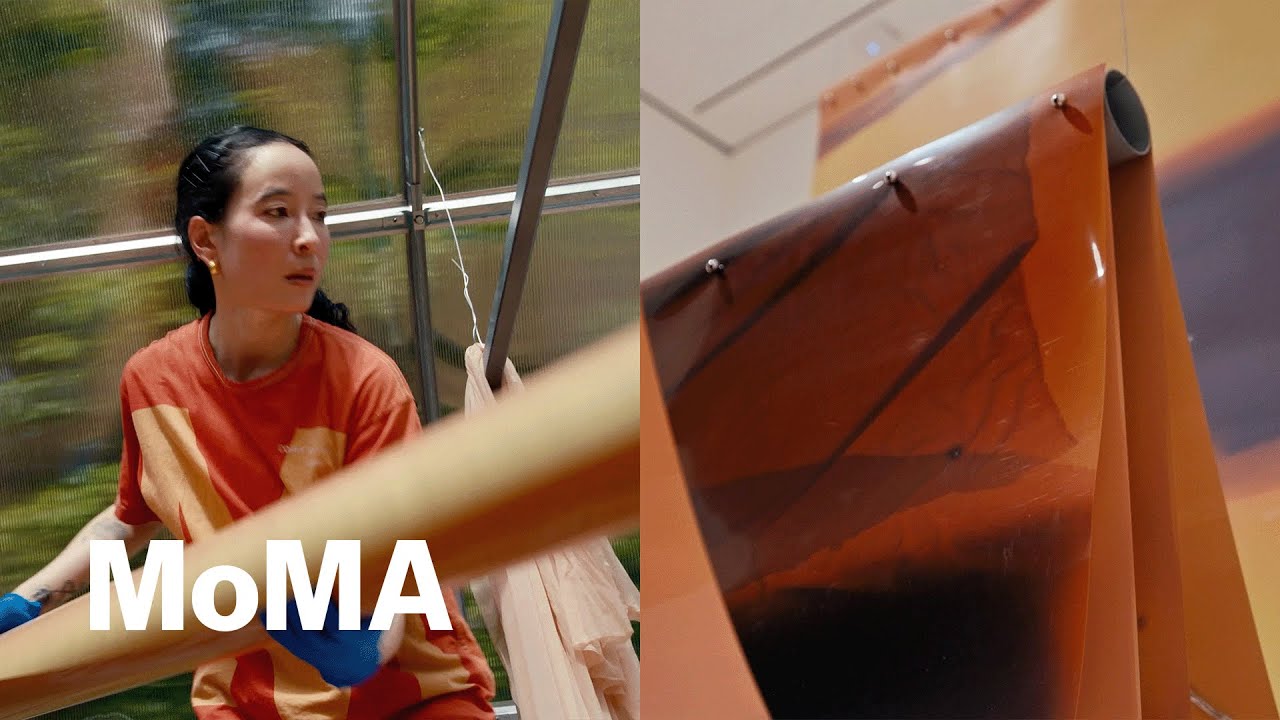 Greenhouse Darkroom Experiments by Lotus Kang 🌱