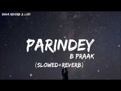 Parindey [Slowed + Reverb] | B Praak | Jaani | Gippy Grewal, Sargun Mehta | Me Kisse Ishq De Dekhe