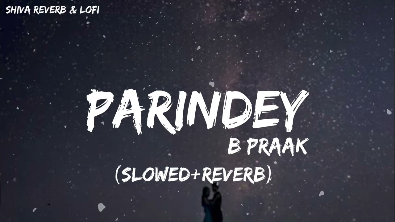 Parindey (Slowed + Reverb) 🎶 B Praak & Jaani - Soothing Punjabi Lofi 2024