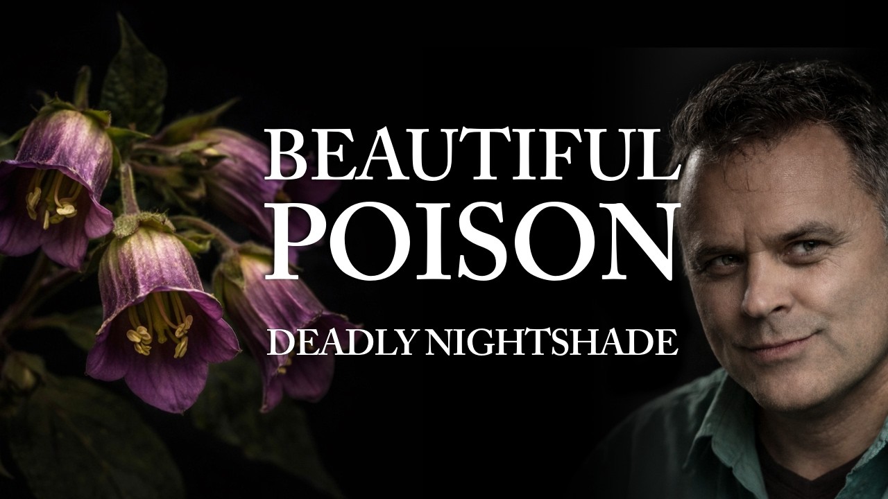 Belladonna: The Deadly Plant's Dark History 🌿