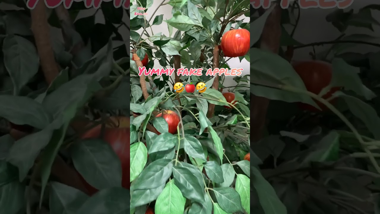 Funny Fake Apples ๐ | Fake Fruit Challenge