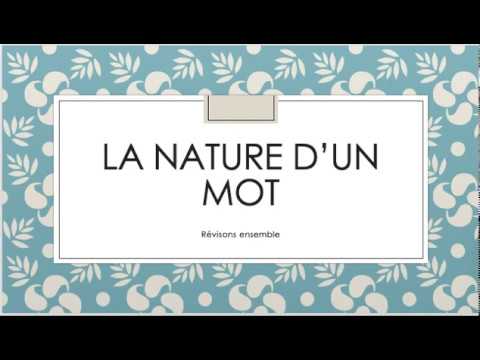 Les natures des mots CE1