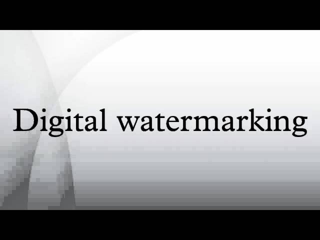 Digital Watermarking for Ownership Protection