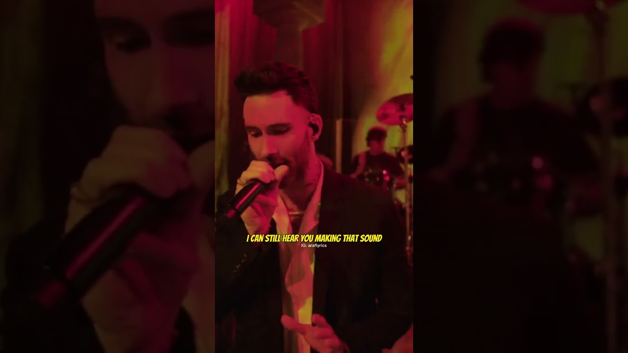 Maroon 5 - Animals @araflyricsofficial