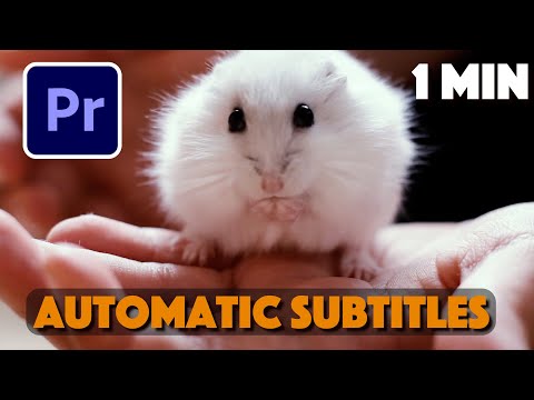 Adobe in a Minute