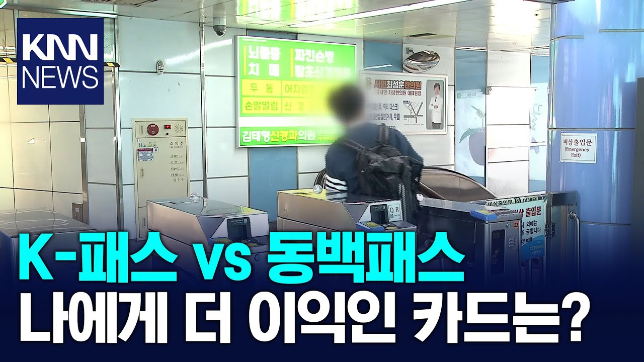 동백패스 vs K-패스: 부산 교통카드 선택 가이드 🚆