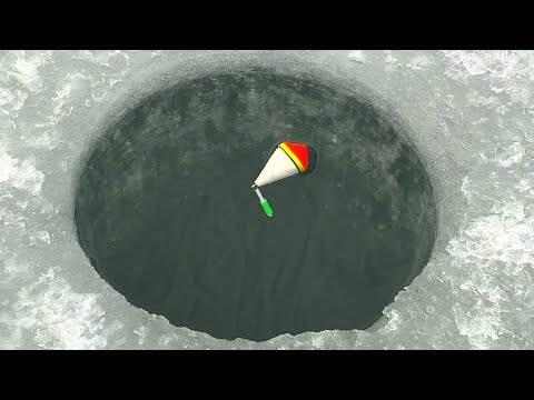 В ЭТОЙ ЛУНКЕ...КРУПНЯК ШАРАШИТ ПОПЛАВОК и КИВОК. Санки рыбы! Зимняя рыбалка 2024