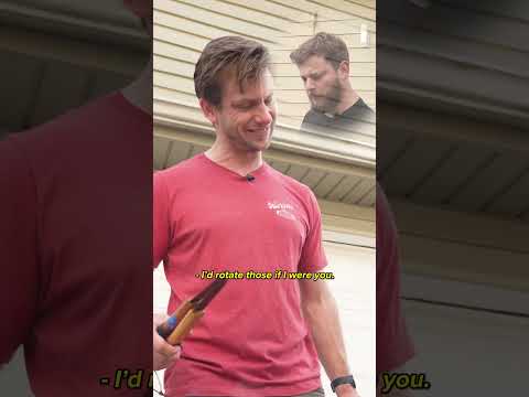 Backseat Grilling #shorts