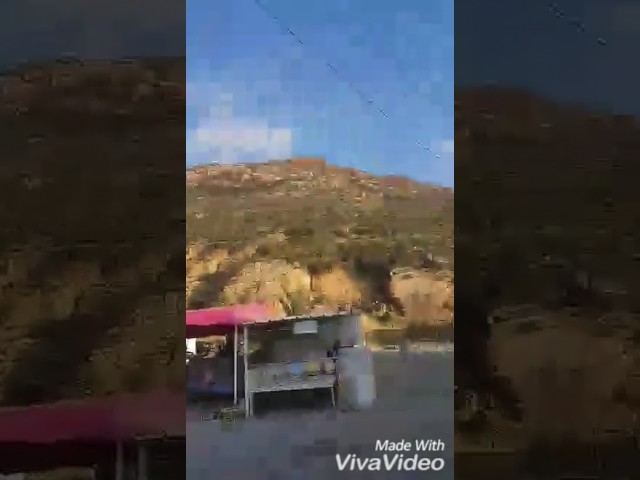 Celebrate the Holidays with Love and Joy! 🎉