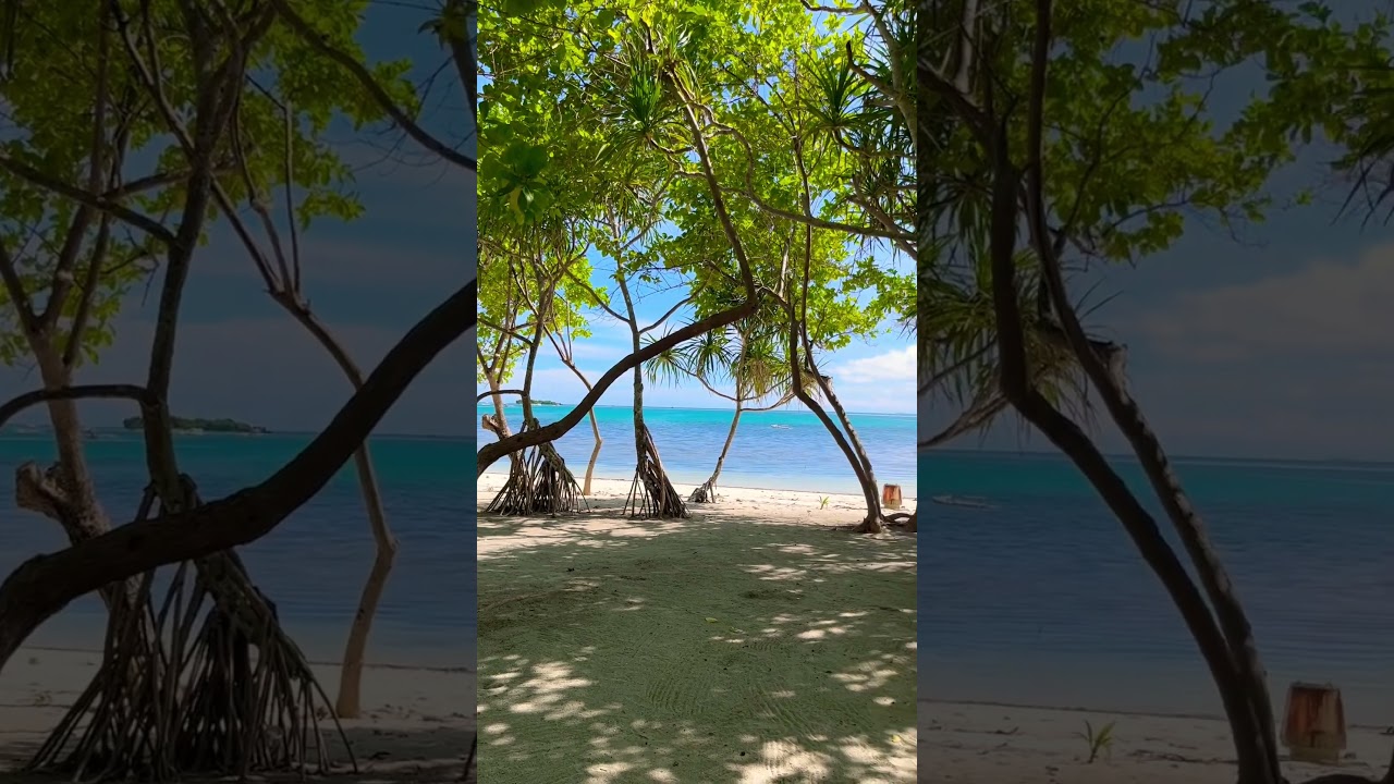 Virgin Island 🏝️: Panglao's Hidden Paradise