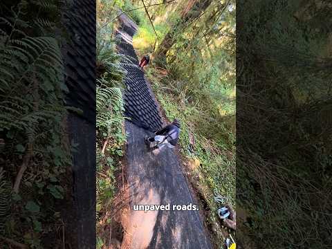 This is Why Forest Roads Here Last 200 Years! 🤯