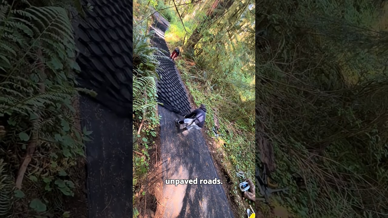 Discover Why These Forest Roads Have Survived for Over 200 Years 🌲