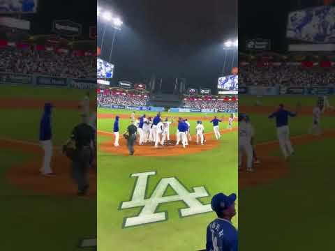 Freddie Freeman's walk-off was WILD 🍿 #mlb #cosm #baseball #dodgers