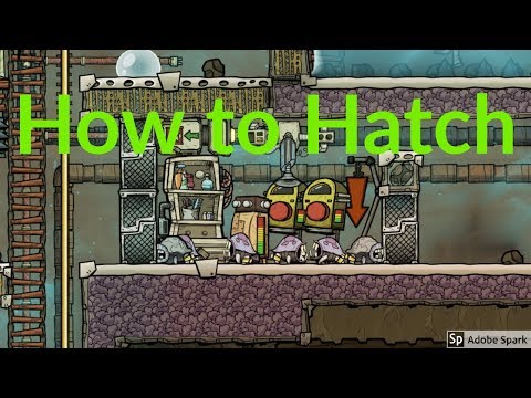Hatch Ranching Early to Late game : Tutorial nuggets : Oxygen not included