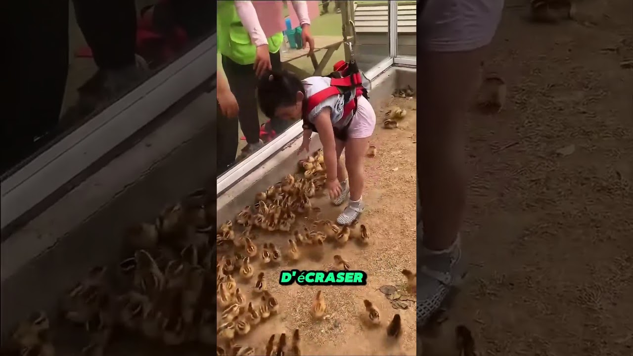 Les agents de sécurité interviennent pour arrêter une fille impliquée avec des poussins