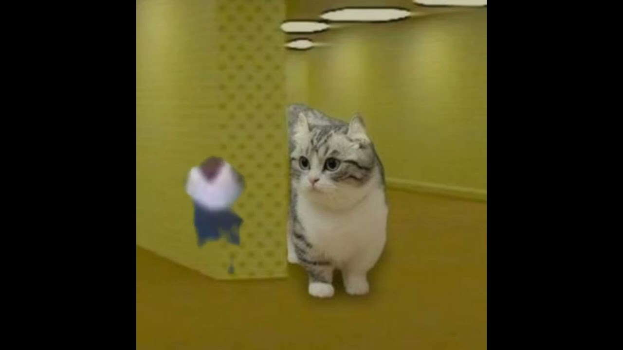 Посмотри это, если грустно