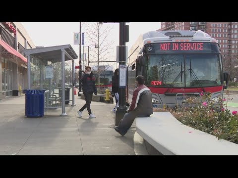 DC Bus Lane Camera Warning Period Begins 🚦