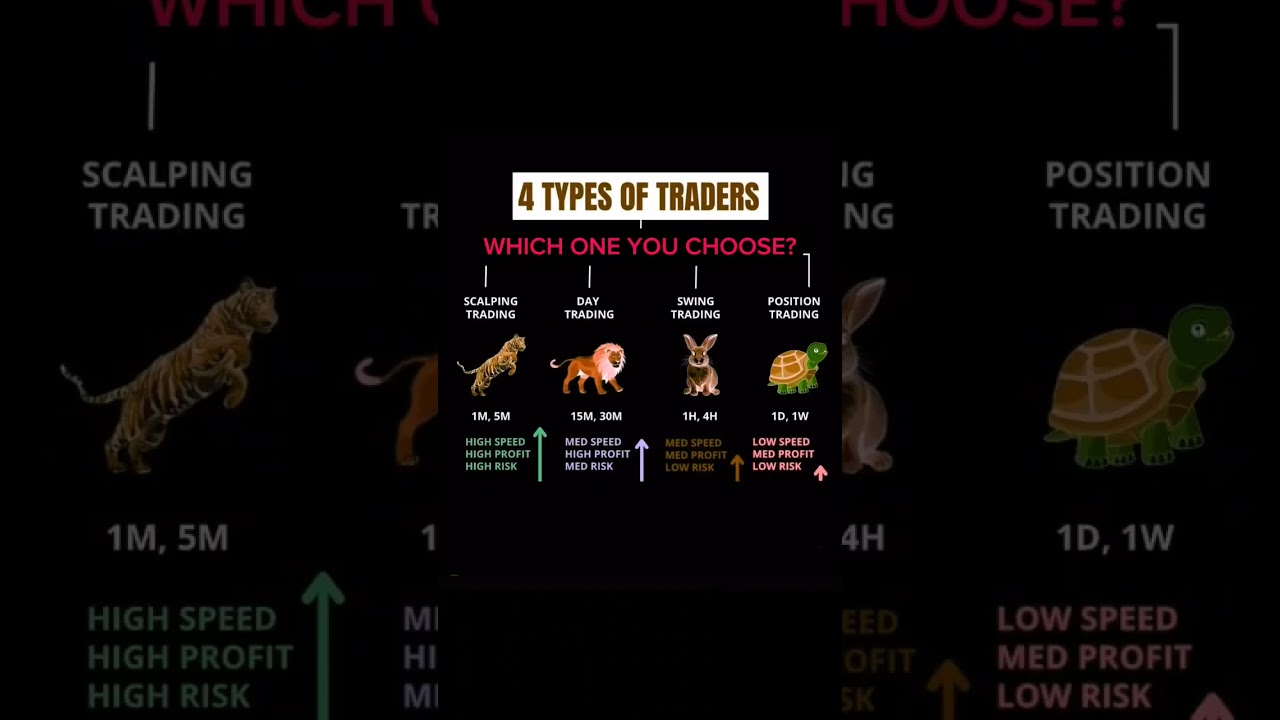 4 Discover the 4 Main Types of Traders and Boost Your Trading Strategy 📈