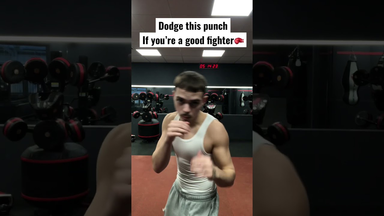 Dodging That Punch 🥊