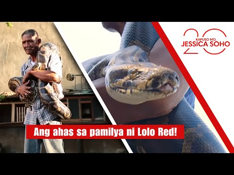 Ang ahas sa pamilya ni Lolo Red! | Kapuso Mo, Jessica Soho