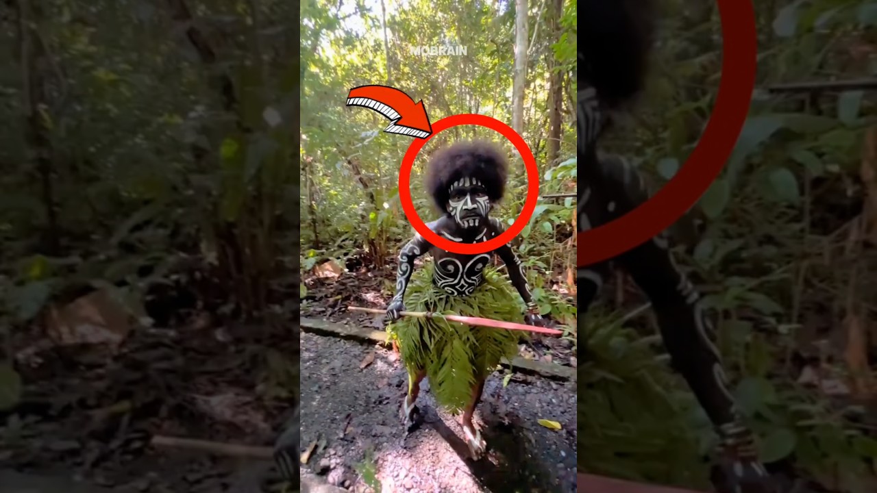 Hati-hati Bertemu Suku Pedalaman di Papua 🛑