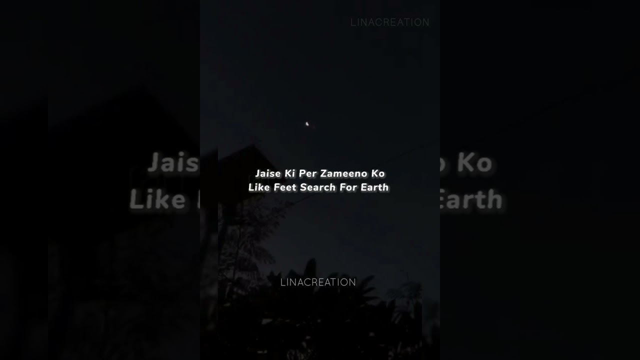 Phir Bhi Tumko Chahunga Lyrics||Half Girlfriend Movie||Arijit Singh Song||LinaCreation