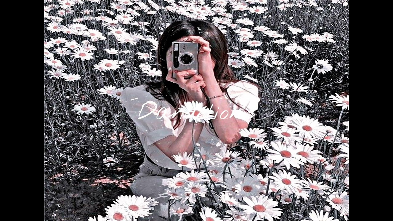 Ruth B. - Dandelions (Nightcore Remix) ๐ถ Chill Lofi Beats