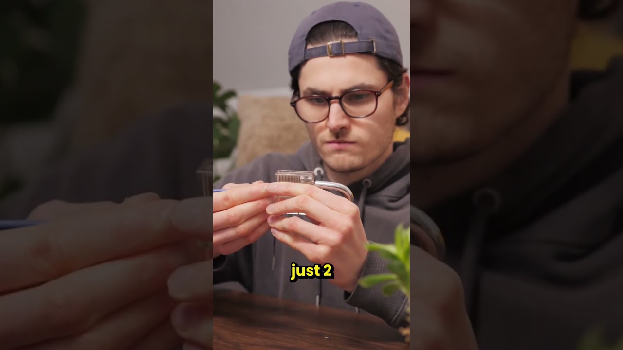 Unlock Secrets: How Easy Is Lock Picking Really? 🔓