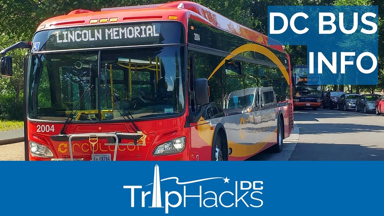 Hop On Hop Off vs Public Buses in DC 🚌