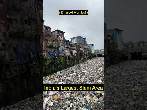 Dharavi Slum Area Mumbai | #shorts