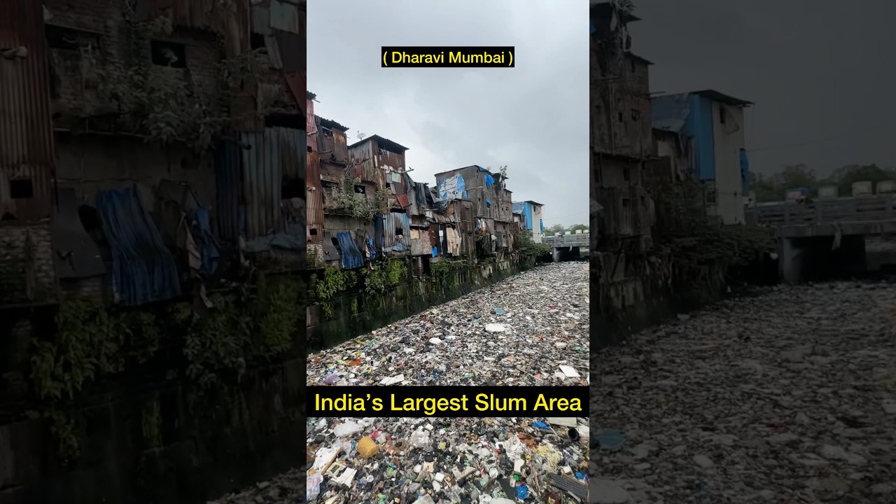 Dharavi Slum Area in Mumbai | Short Video