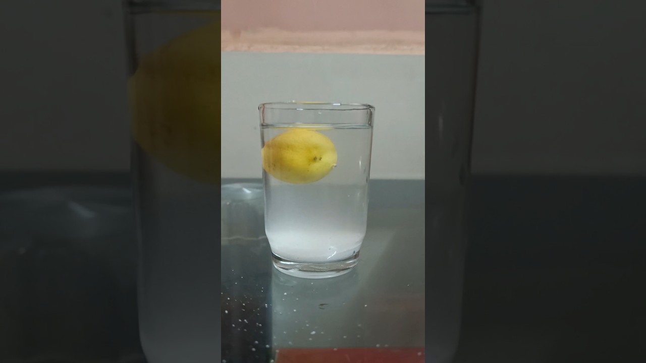 Lemon Floating in Water: Density Science π§ͺ