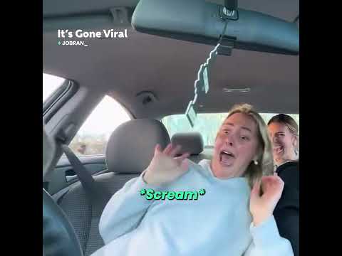 This is your sign to never feed a zebra 😭 #shorts #shortsfeed #funfordayz98 #short #zebra #feed #fy